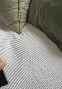 seamless scallop vixxen period underwear